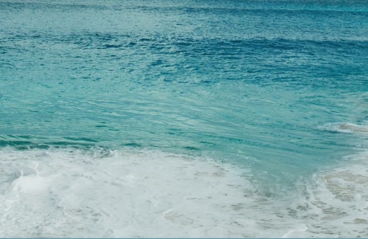 Oceanic decorative background.