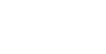fossil logo