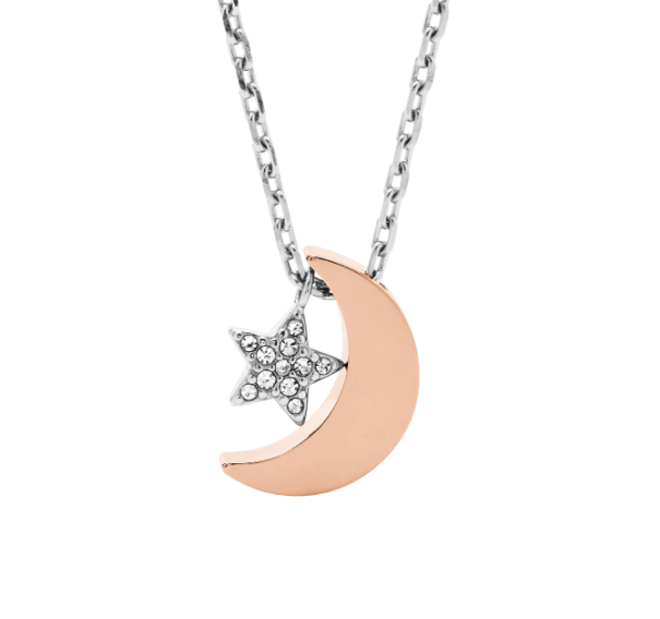 Women's moon and star necklace in silver- and rose gold-tone.